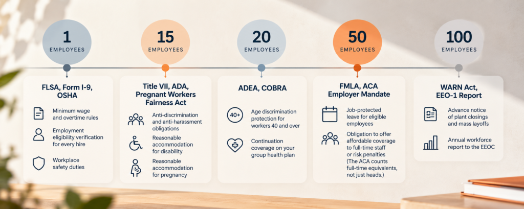 federal employment law thresholds at 15, 20, 50, and 100 employees